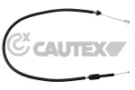 CAUTEX 026597