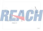 REACH 1.18.12680