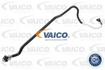 VAICO V30-3045