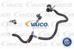 VAICO V30-3081