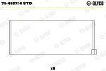 GLYCO 71-4157/4 STD