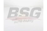BSG BSG 65-550-015