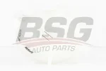 BSG BSG 90-550-006