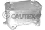 CAUTEX 462524