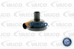VAICO V10-2504