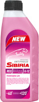 SIBIRIA 800598