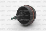 PATRON P16-0069