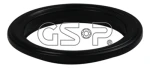 GSP 513935