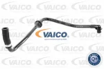 VAICO V10-3611