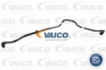 VAICO V10-3655