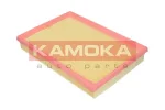 KAMOKA F202901