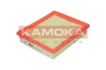 KAMOKA F204201