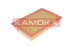 KAMOKA F206801