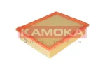 KAMOKA F209901