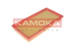 KAMOKA F233001