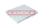 KAMOKA F403301