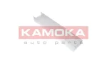 KAMOKA F406001