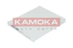 KAMOKA F415001