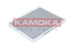 KAMOKA F502301