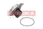 KAMOKA T0002