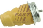 FAST FT18100