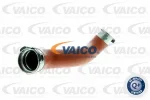 VAICO V30-2238