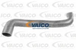 VAICO V42-0620