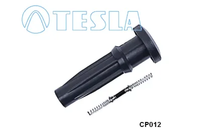 CP012 TESLA